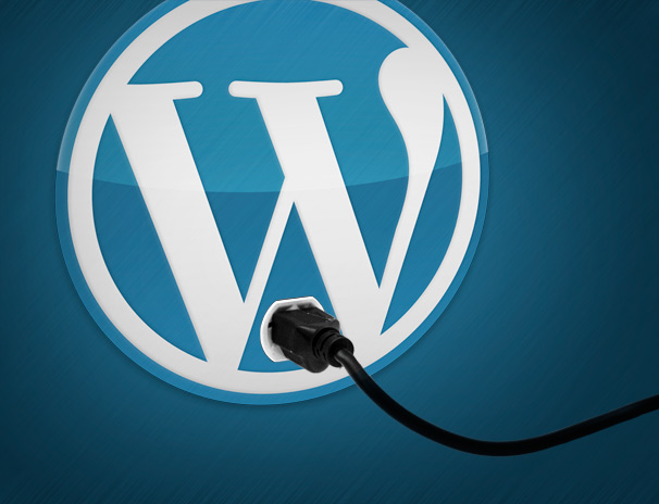 WordPress Tema Silme