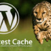 wp-fastest-cache