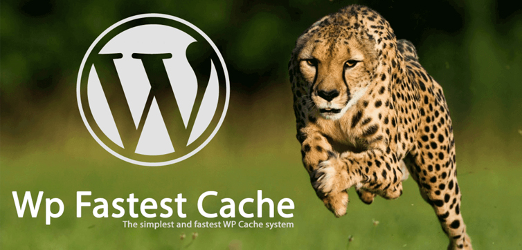 WordPress Wp-Fastest Cache Eklentisi